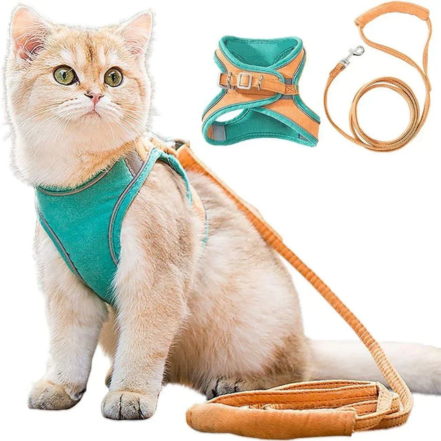 Cat Harness โ Safe and Comfortable for Outdoor Adventures