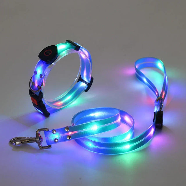 LED Dog Collar with Leash β NightBright