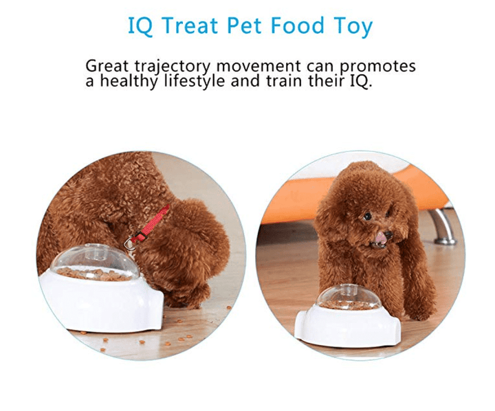 Creative Goodies Activity Toy for Dogs and Cats |