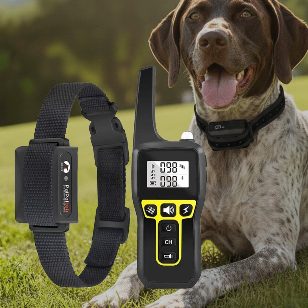 1000m Waterproof Dog Training Collar | Rechargeable, Remote Control &amp; Adjustable for Small, Medium, and Large Dogs