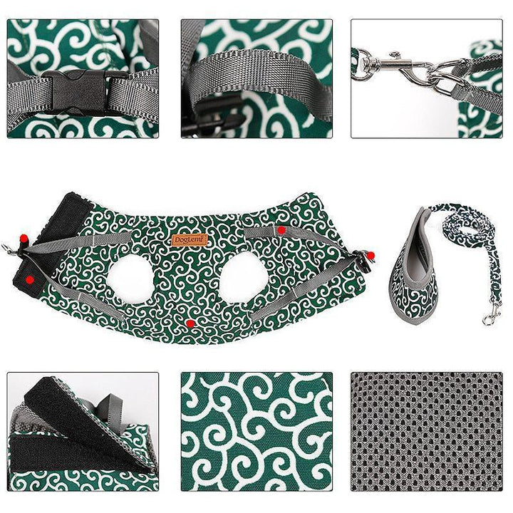 Collar jacket and leash for cat |