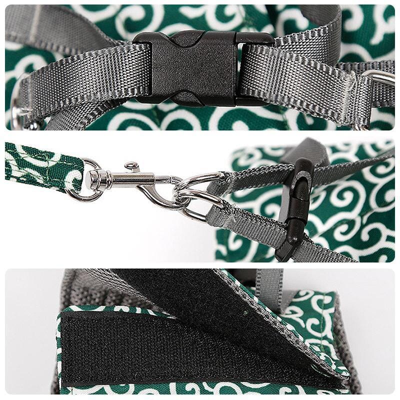 Cat vest harness and leash set for walks