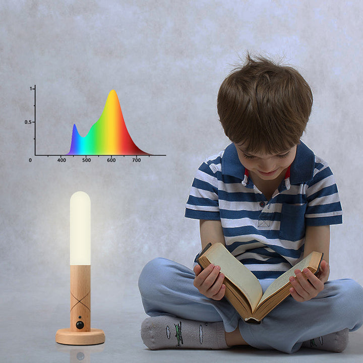 Intelligent Sensor Night Light |