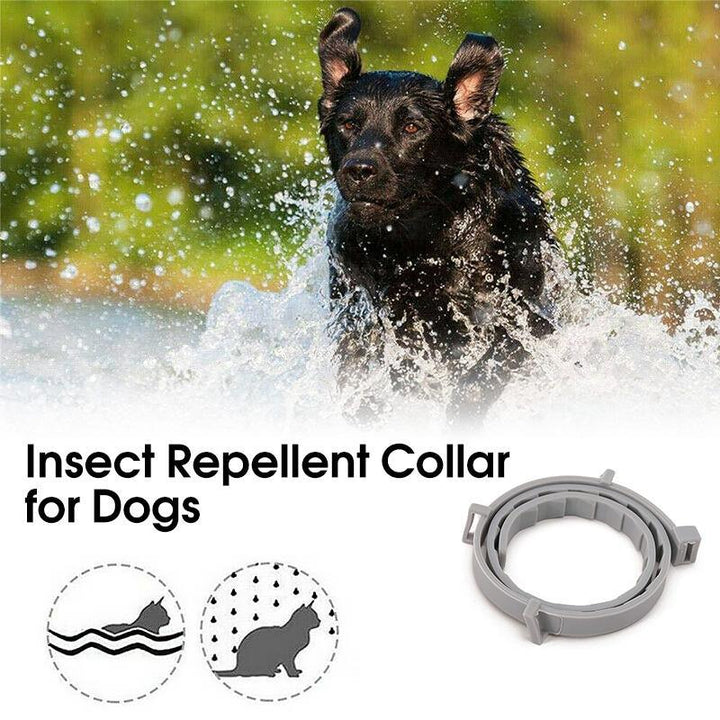Adjustable Insect Defense Collar for Pets