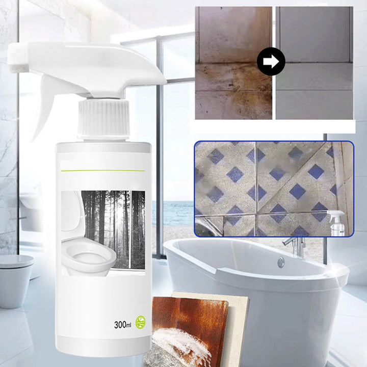 Powerful cleaner for stains in toilet shine with oxalic acid