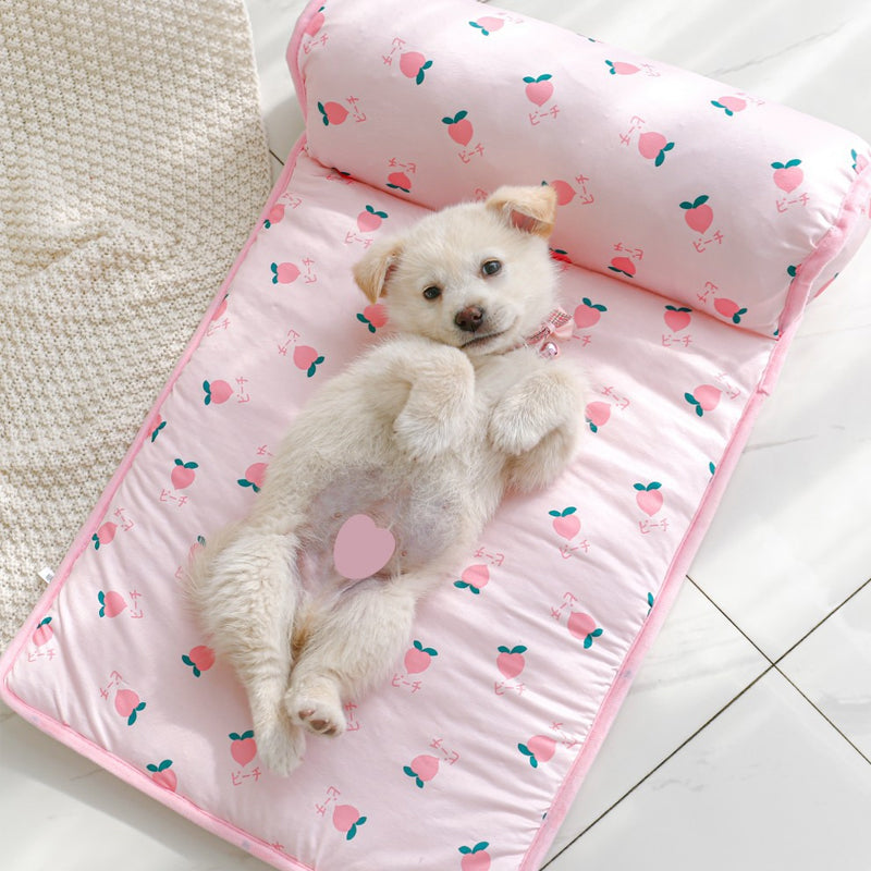 Pet Summer Cool Bed Ice Silk Cooling Mat for Dogs &amp; Cats |