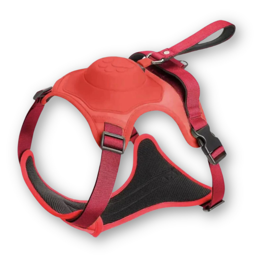 FlexiHarness – Comfortable 2-in-1 Dog Harness with Leash
