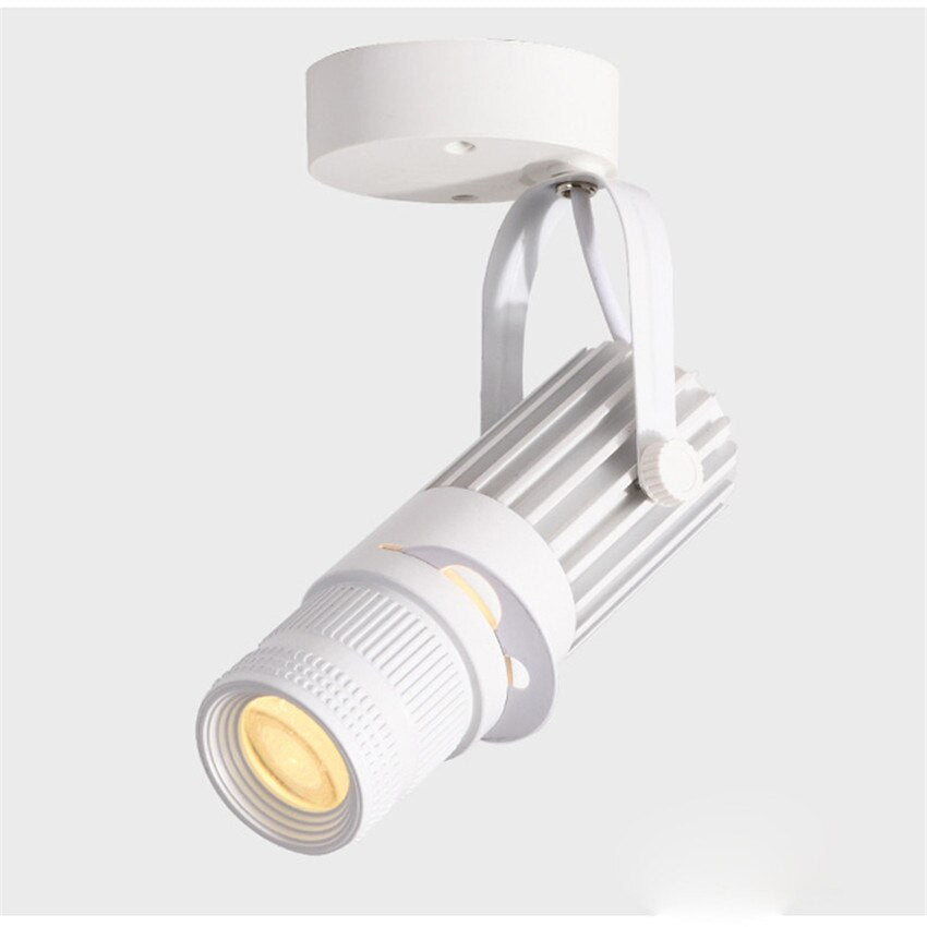 Adjustable LED spotlight - focus light background