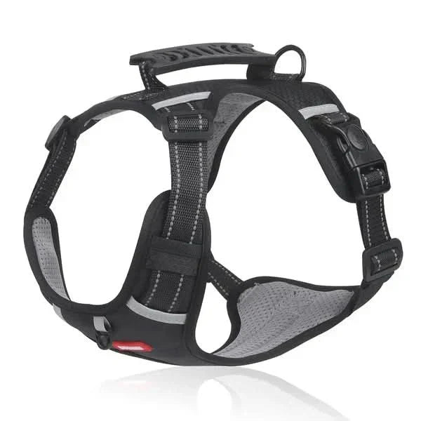 anti-pull dog harness for pain-free walks