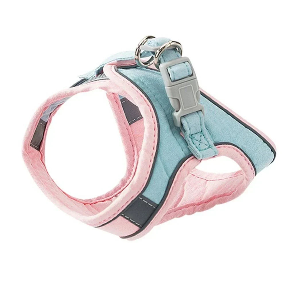 Cat Harness – Safe and Comfortable for Outdoor Adventures