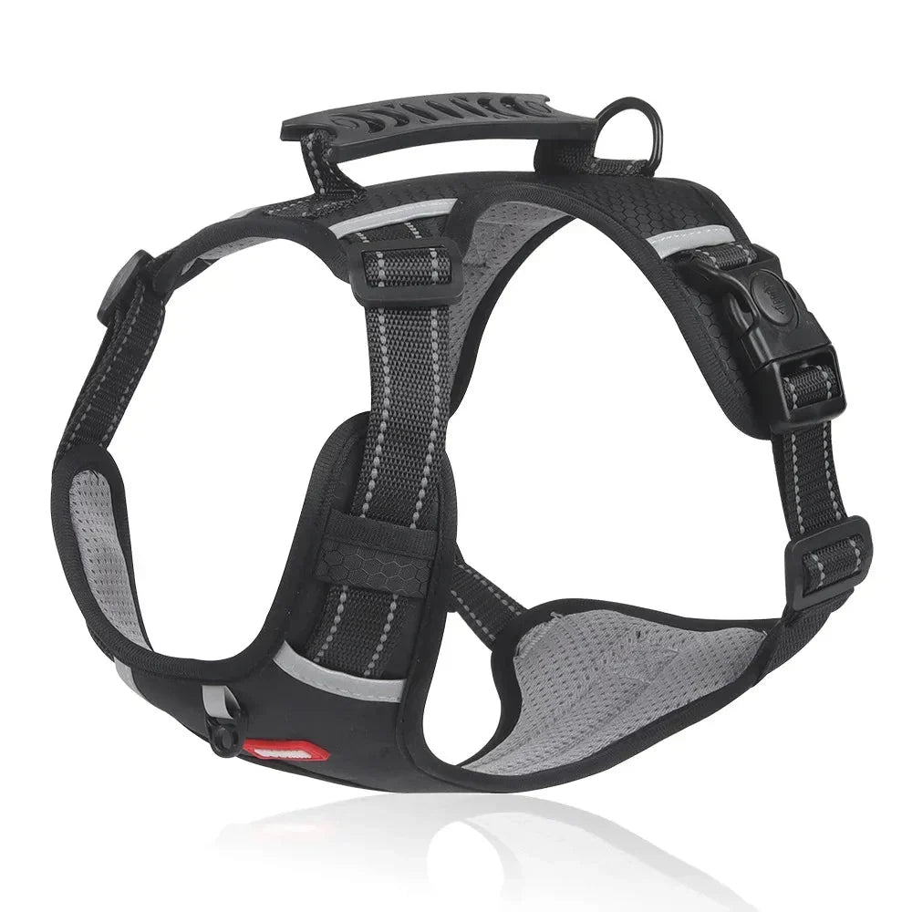 NoPull Dog Harness – WalkEase