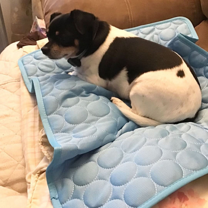 COOLTAILS - Premium Cooling Mat