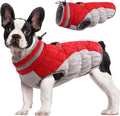 SafeWalk Winter Harness Jacket – Waterproof dog jacket with reflection and fleece lining
