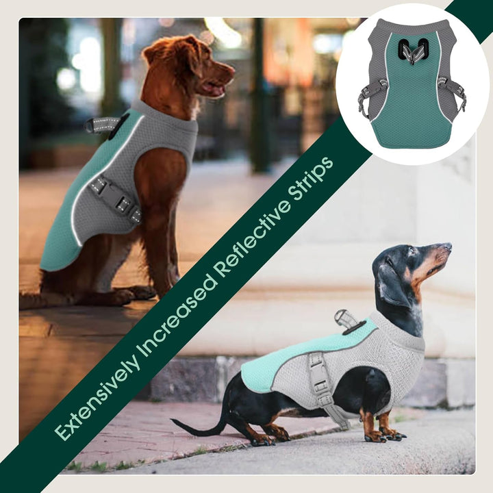 Summer Reflective Dog Cooling Vest &amp; Quick-Release Harness