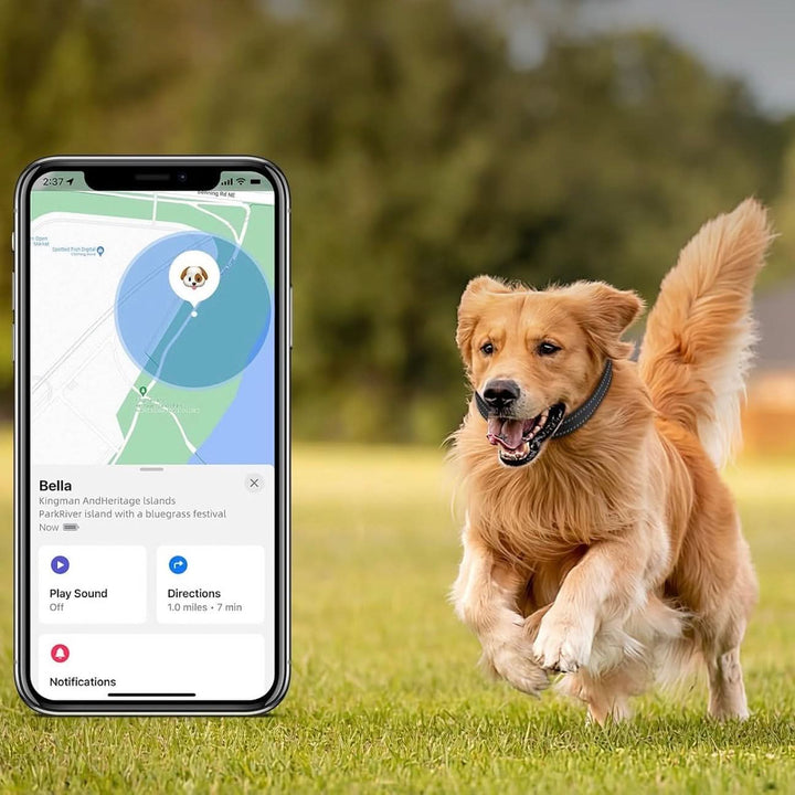 LEAZO - AirTag Dog Collar