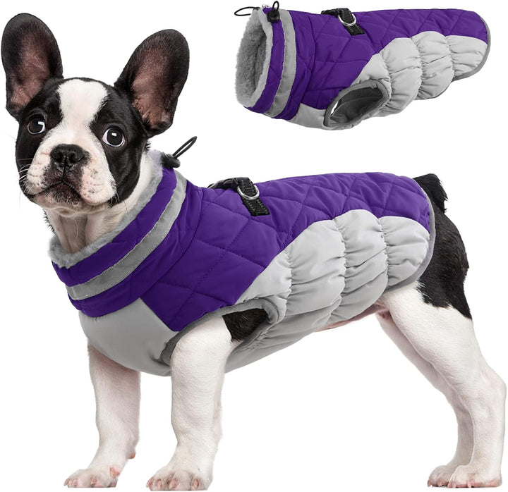 SafeWalk Winter Harness Jacket – Waterproof dog jacket with reflection and fleece lining