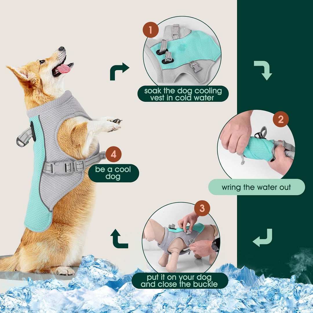 Summer Reflective Dog Cooling Vest &amp; Quick-Release Harness