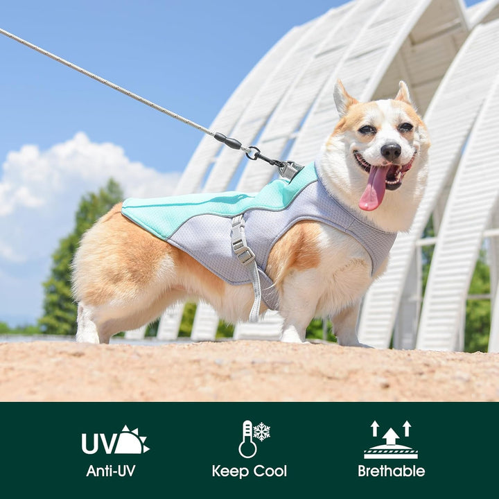 Summer Reflective Dog Cooling Vest &amp; Quick-Release Harness