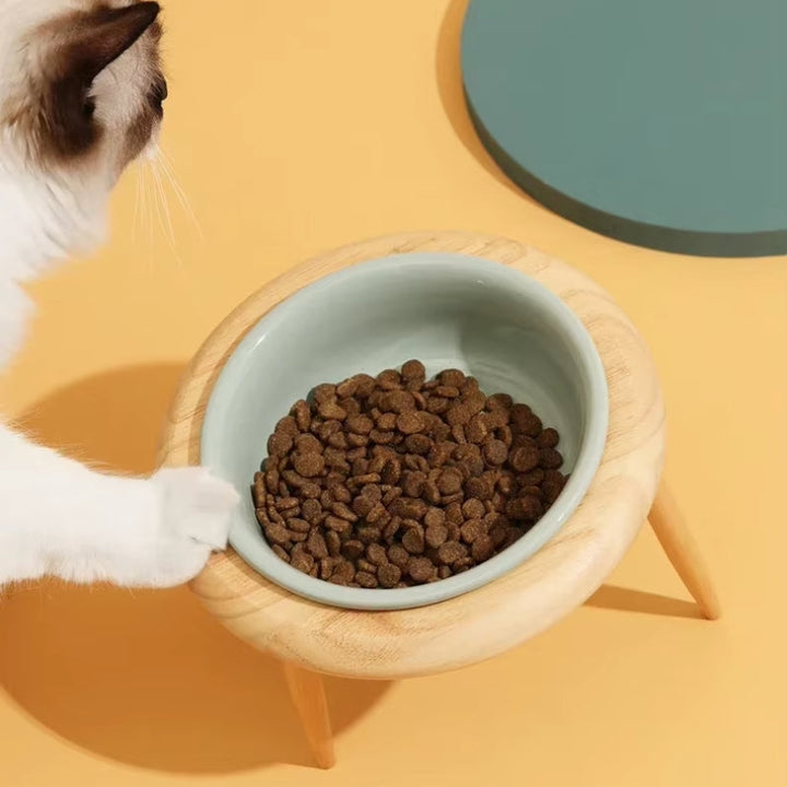 Misha Ceramic Elevated Cat Bowl with Wooden Stand