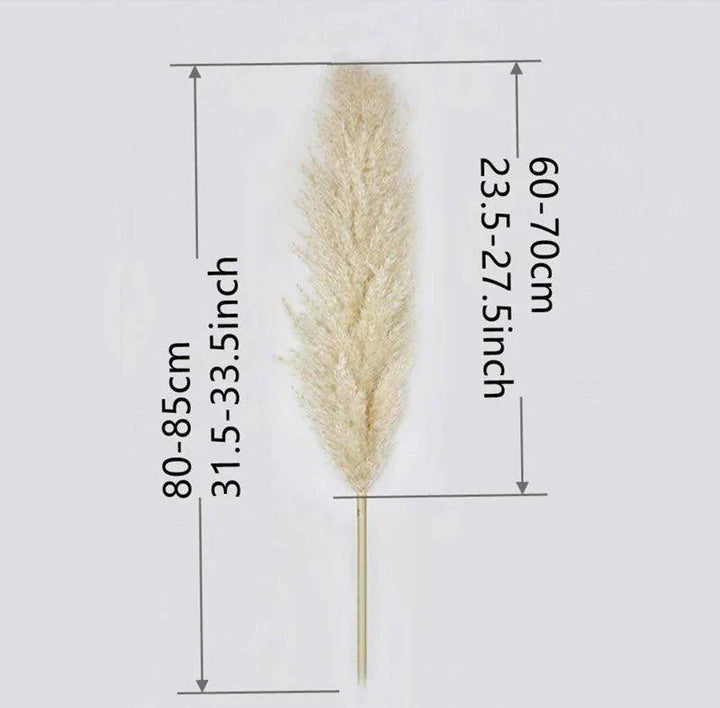 80 cm natural, real dried pampas grass bouquet (white / beige / gray) │ fluffy feather for modern boho home decor