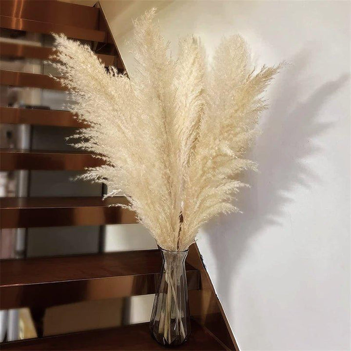 80 cm natural, real dried pampas grass bouquet (white / beige / gray) │ fluffy feather for modern boho home decor