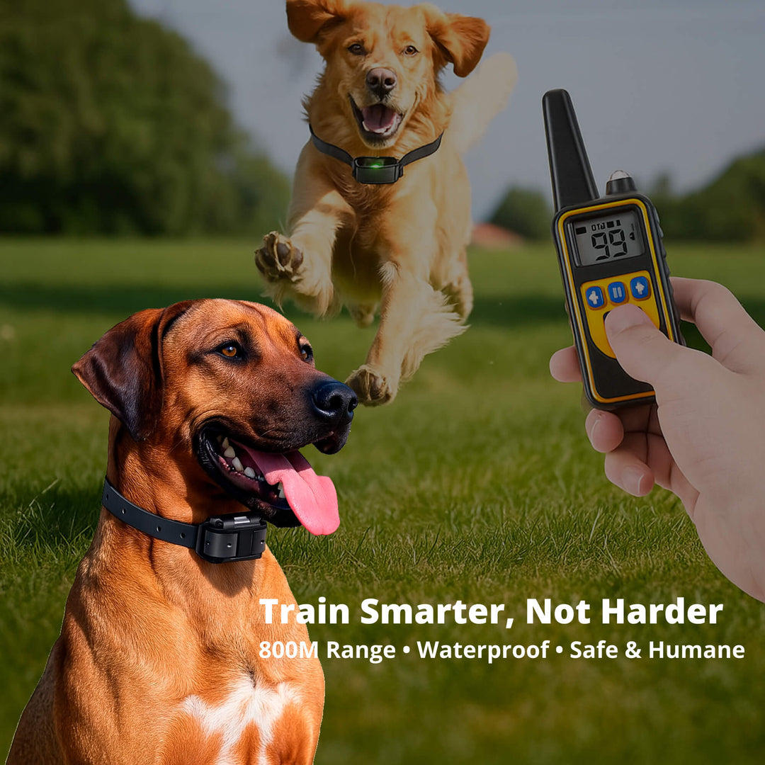 800M Rechargeable Electric Dog Training Collar | Waterproof, Remote Control &amp; Ideal for Effective Dog Training