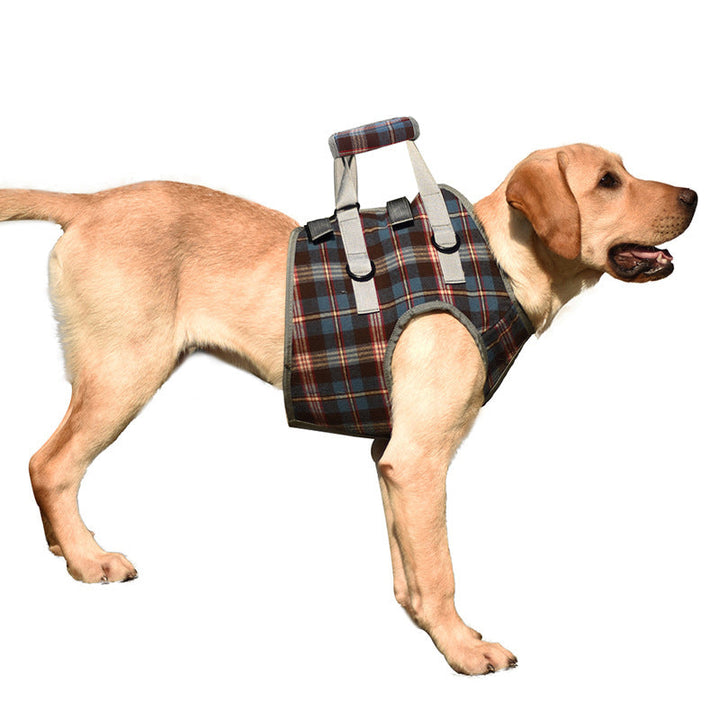 Orthopedic Rear Leg Support Harness for Dogs – Ideal for Arthritis, Hip Dysplasia &amp; Mobility Aid