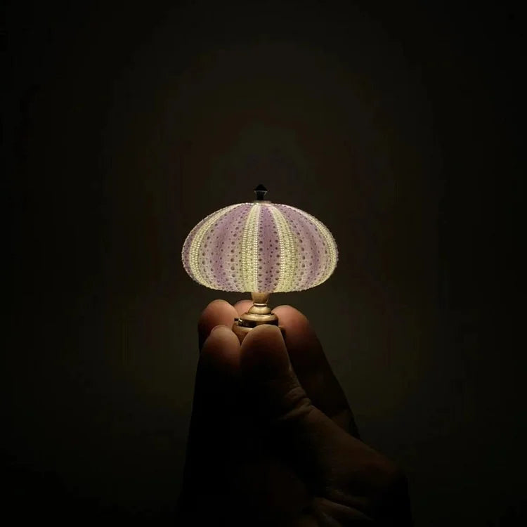 DIY Sea Urchin Night Light - LumiUrchin |