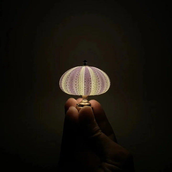 DIY Sea Urchin Night Light - LumiUrchin |
