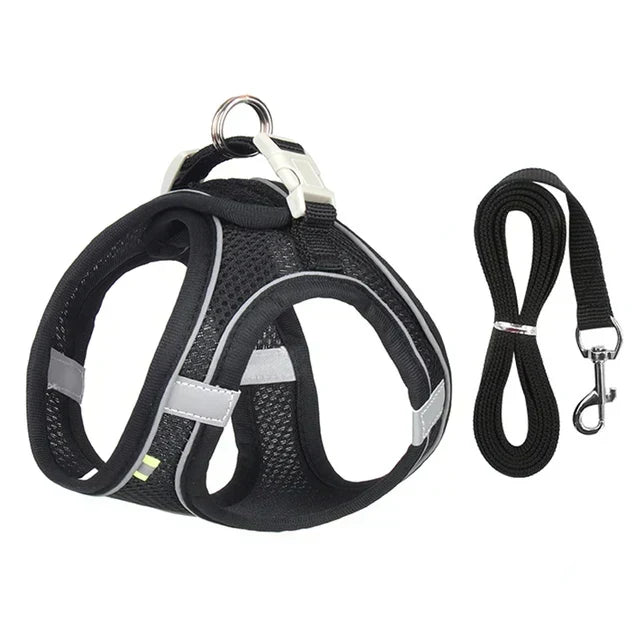 Adventurous Cat Harness with Leash – Adjustable and Reflective |