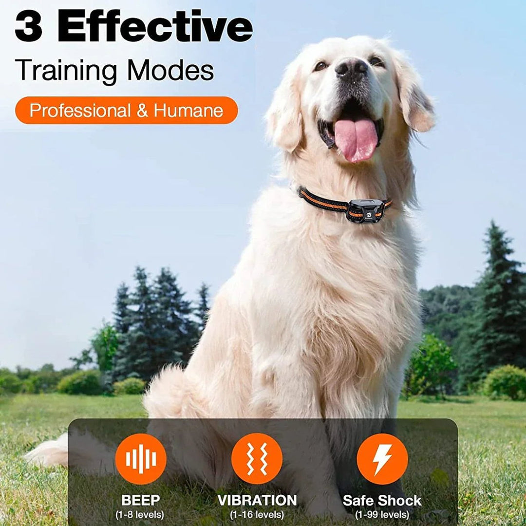 Professional 1000 m Remote Training Collar for Dogs