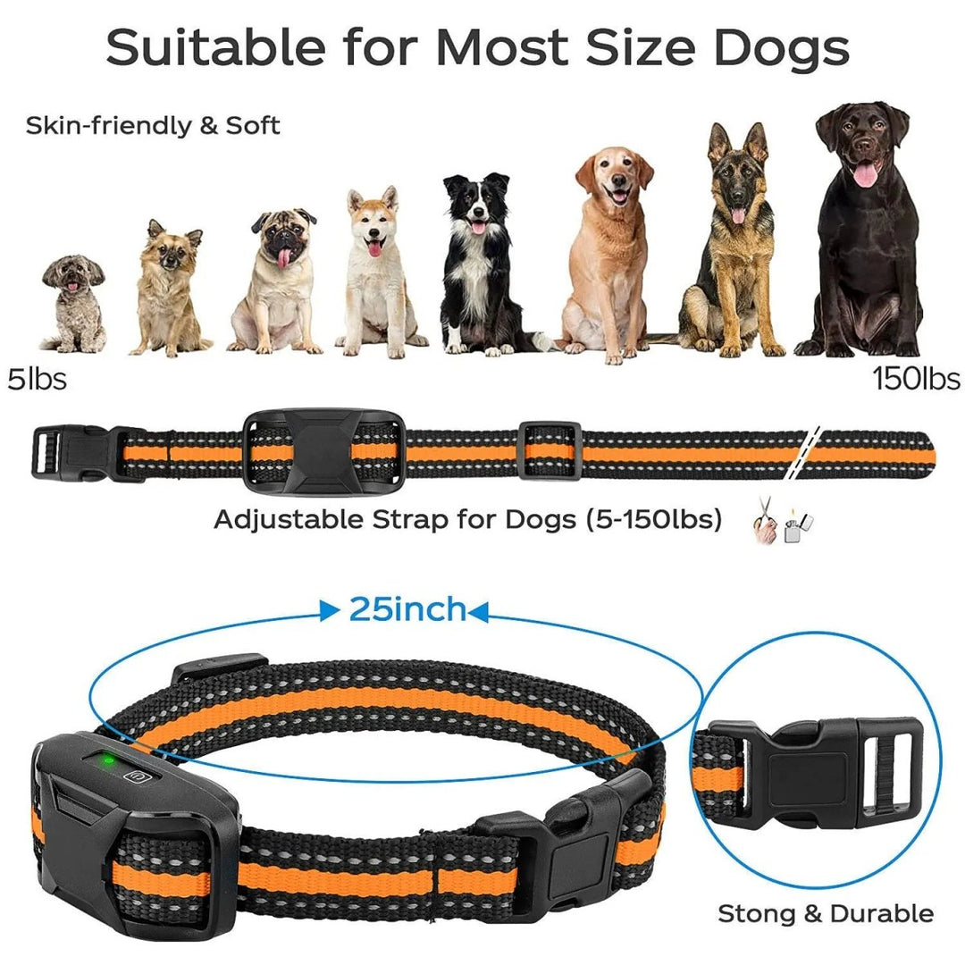 Professional 1000 m Remote Training Collar for Dogs