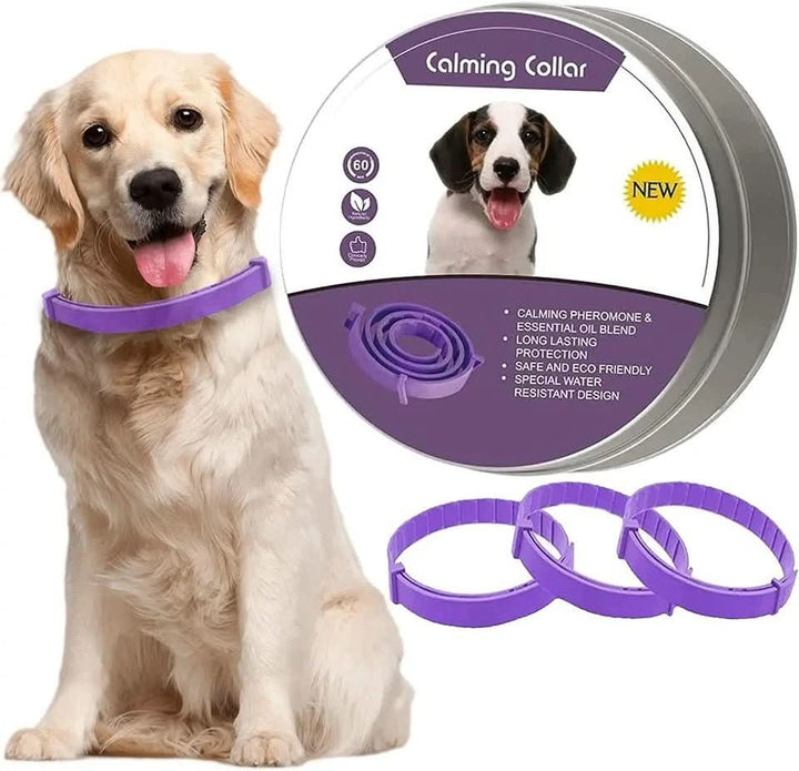 Calming collar with pheromones for relaxed dogs
