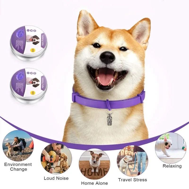 Calming collar with pheromones for relaxed dogs