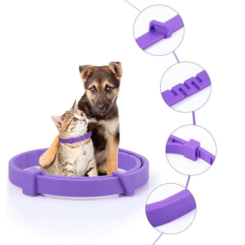 Calming collar with pheromones for relaxed dogs