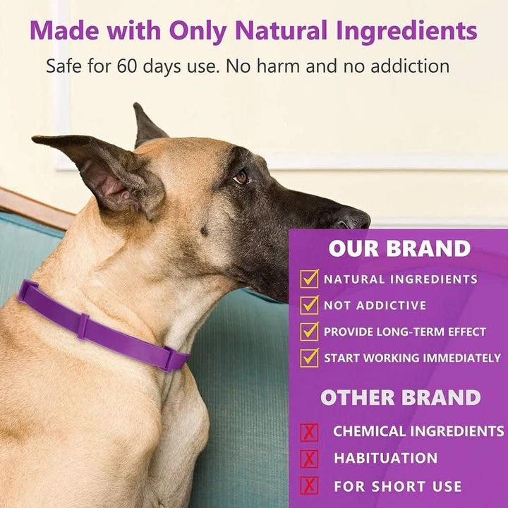 CALMDOG – Calming collar with pheromones &amp; essential oils for dogs
