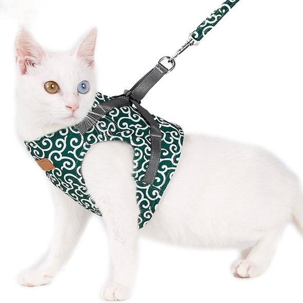 Collar jacket and leash for cat |