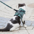 Collar jacket and leash for cat |