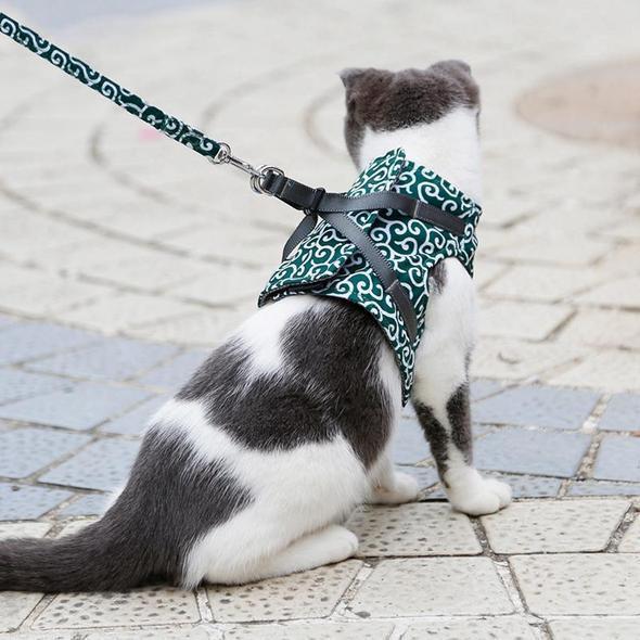 Collar jacket and leash for cat |