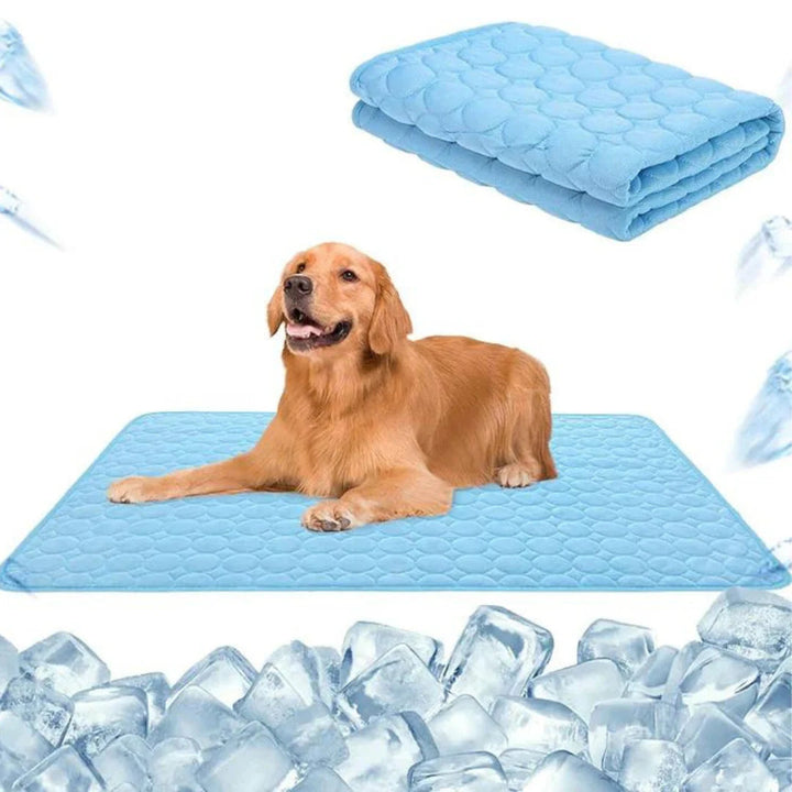 Self-Cooling Mat for Four-Legged Friends Ideal for Hot Summer