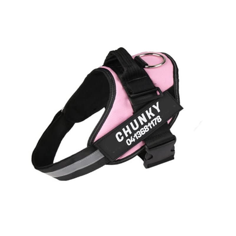 DOGSAFE HARNESS – Safety dog harness with name tag &amp; reflectors