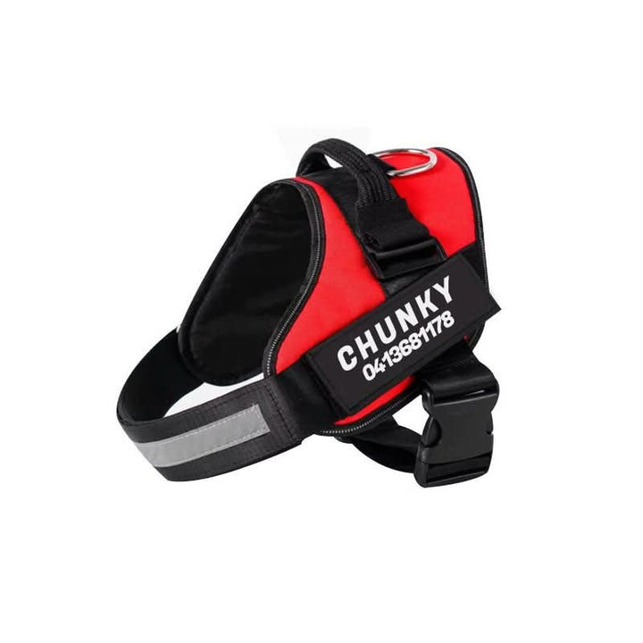 DOGSAFE HARNESS – Safety dog harness with name tag &amp; reflectors
