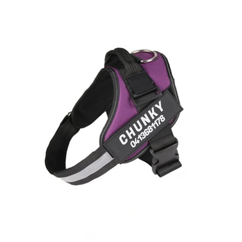 DOGSAFE HARNESS – Safety dog harness with name tag &amp; reflectors