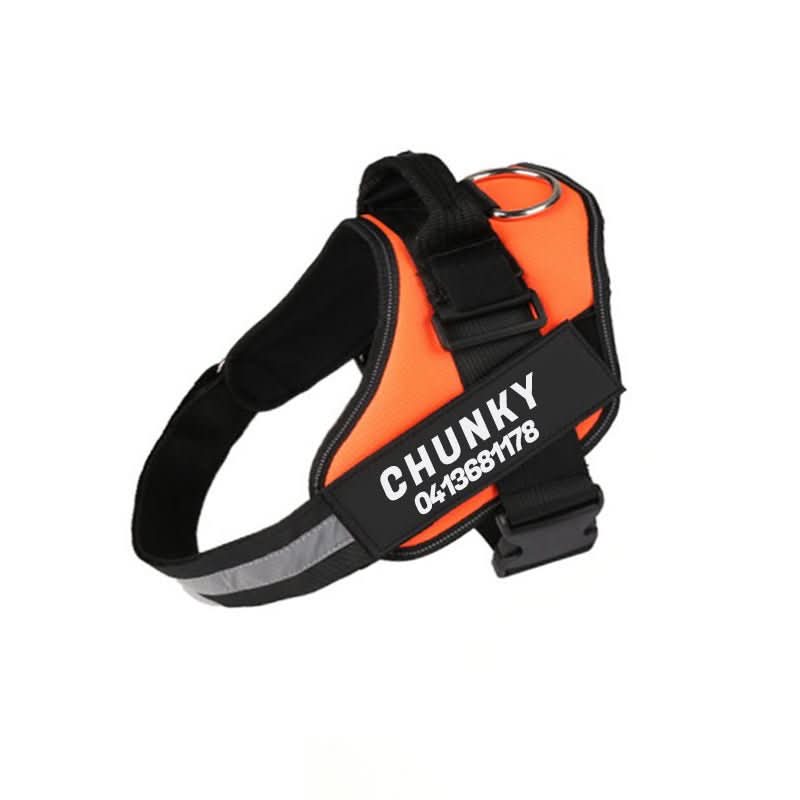 DOGSAFE HARNESS – Safety dog harness with name tag &amp; reflectors