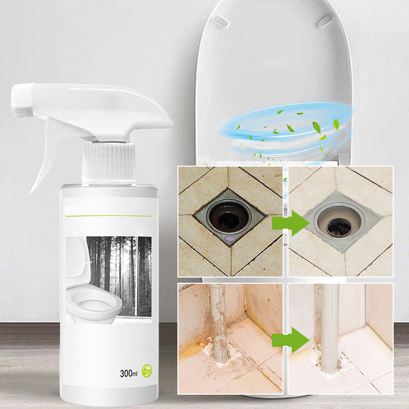 Powerful cleaner for stains in toilet shine with oxalic acid