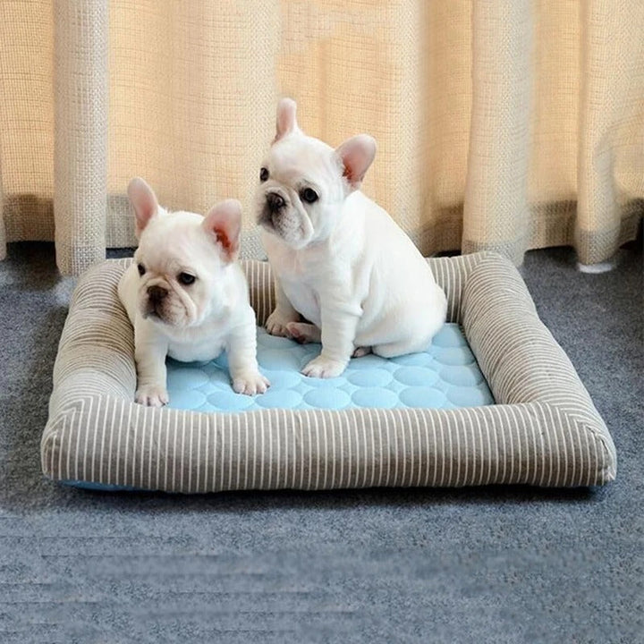 FurChill Frenchie Breathable Dog Bed – Cooling Mat with Non-Slip Base for Hot Days |