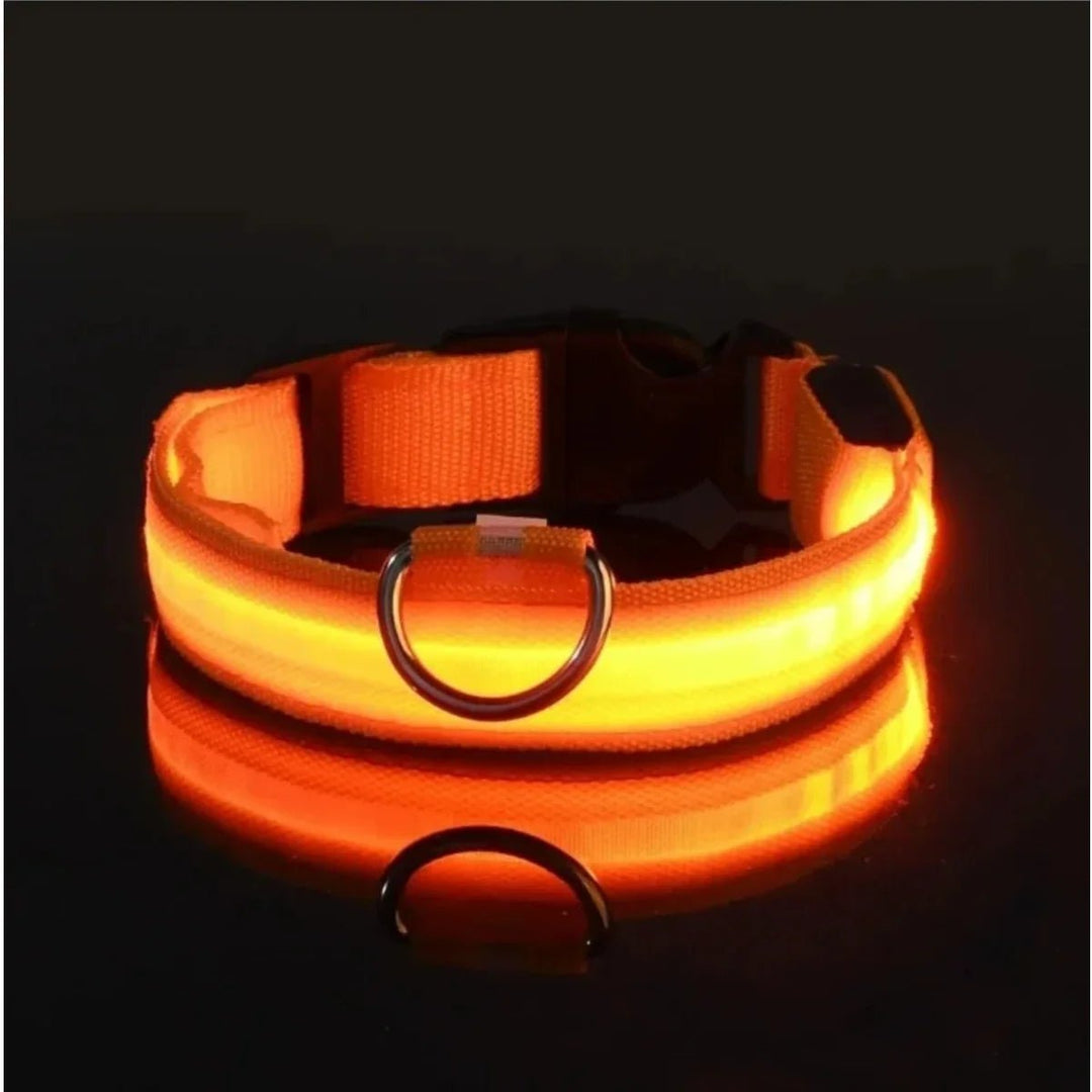LED Safety Dog Collar with Adjustable Fit