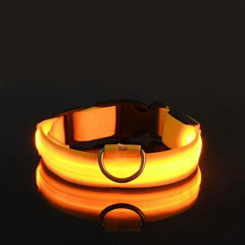 LED Safety Dog Collar with Adjustable Fit