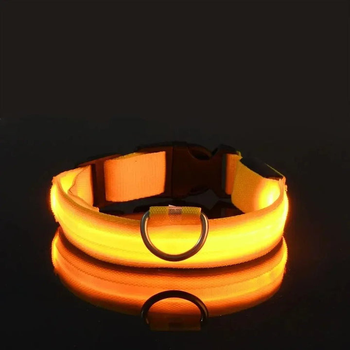 LED Safety Dog Collar with Adjustable Fit