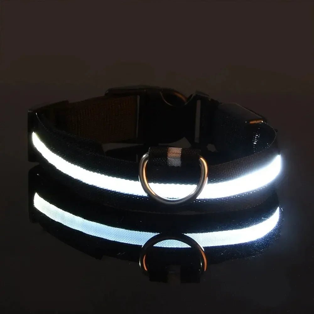 LED Safety Dog Collar with Adjustable Fit